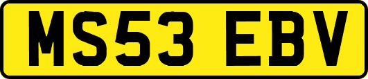 MS53EBV