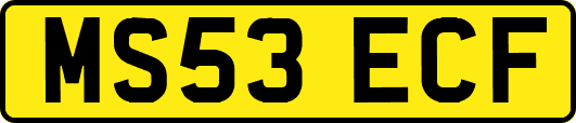 MS53ECF