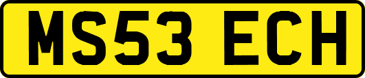 MS53ECH