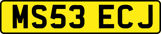 MS53ECJ