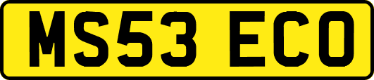 MS53ECO