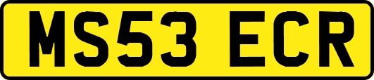 MS53ECR
