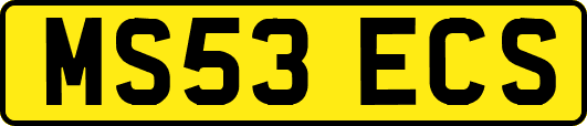 MS53ECS
