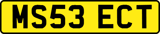 MS53ECT