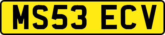 MS53ECV