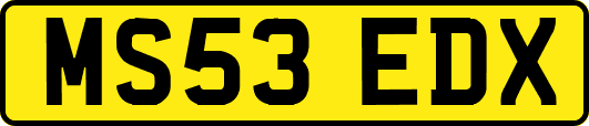 MS53EDX