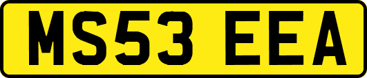 MS53EEA