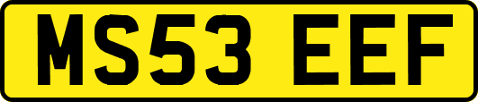 MS53EEF