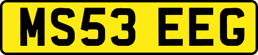 MS53EEG