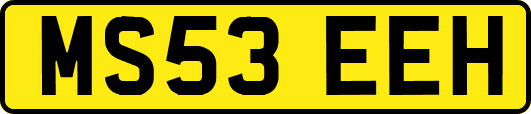MS53EEH