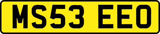 MS53EEO