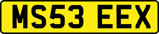 MS53EEX