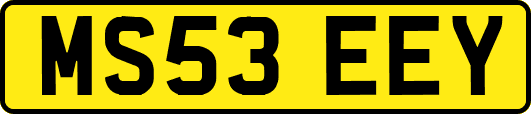 MS53EEY