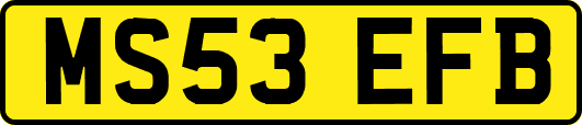 MS53EFB
