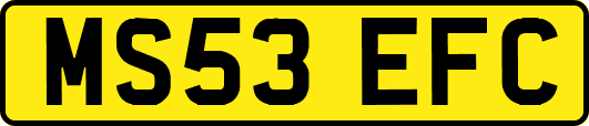 MS53EFC
