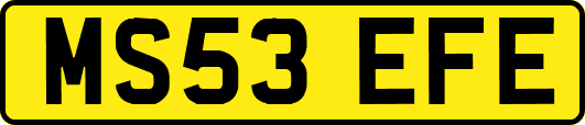 MS53EFE