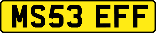 MS53EFF