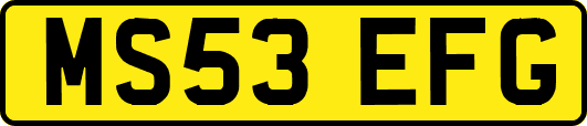 MS53EFG