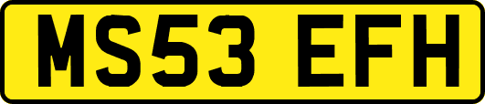 MS53EFH