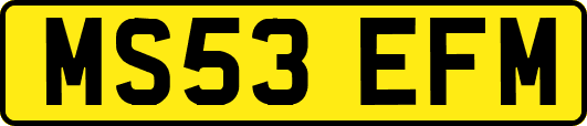 MS53EFM