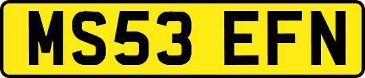 MS53EFN