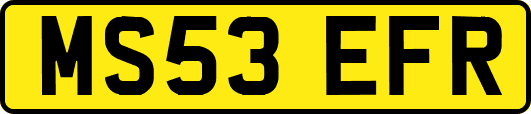 MS53EFR