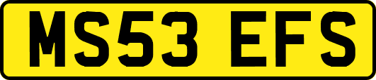 MS53EFS