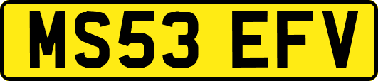 MS53EFV