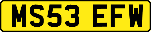 MS53EFW