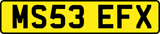 MS53EFX