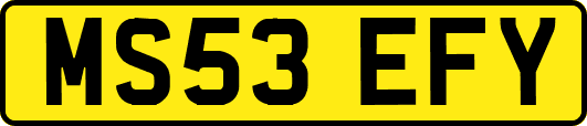 MS53EFY