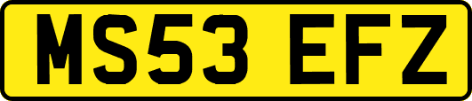 MS53EFZ
