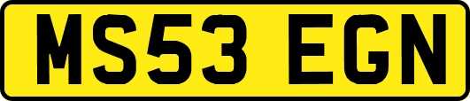 MS53EGN