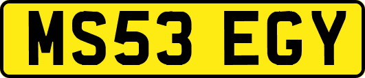 MS53EGY