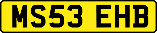 MS53EHB
