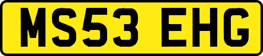 MS53EHG