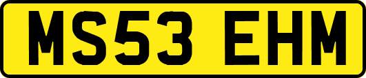 MS53EHM