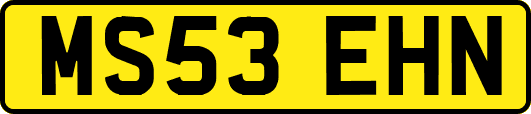 MS53EHN