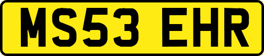 MS53EHR