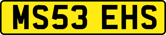 MS53EHS