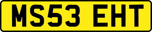 MS53EHT