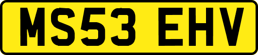 MS53EHV