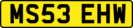 MS53EHW
