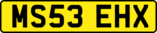 MS53EHX