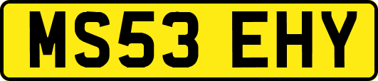MS53EHY
