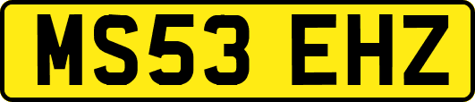 MS53EHZ