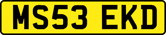 MS53EKD