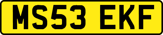 MS53EKF