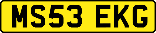 MS53EKG