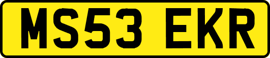 MS53EKR